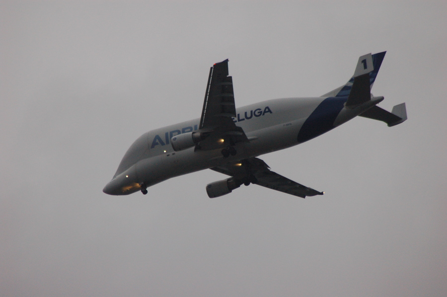 Pic /JPG/Airbus/A300/A300-608ST Baluga/F-GSTA//DSC_6325.JPG